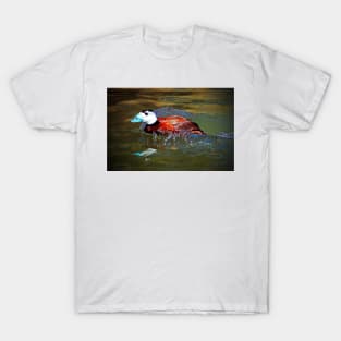 White Headed Duck T-Shirt